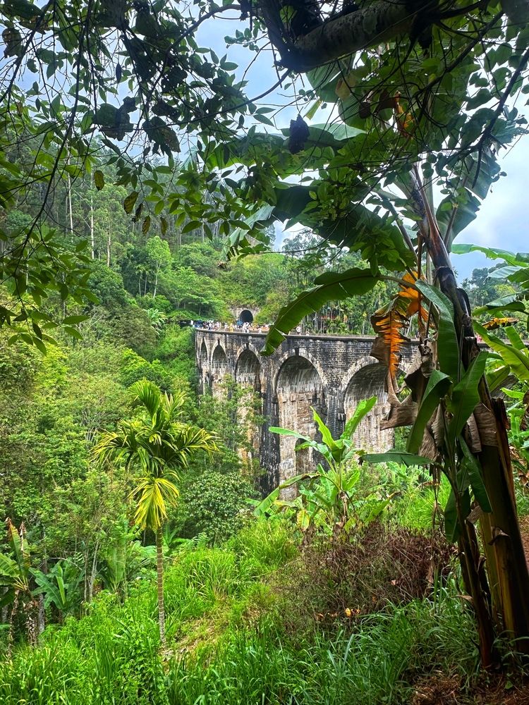 Photograph by Наталья Семенова