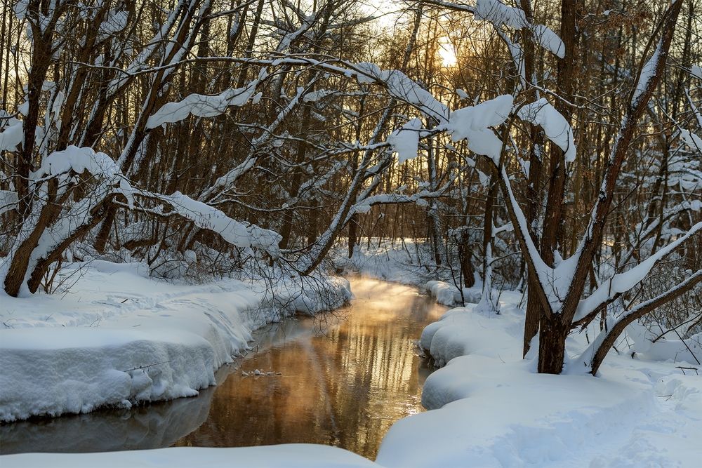 Фотография автора Марина