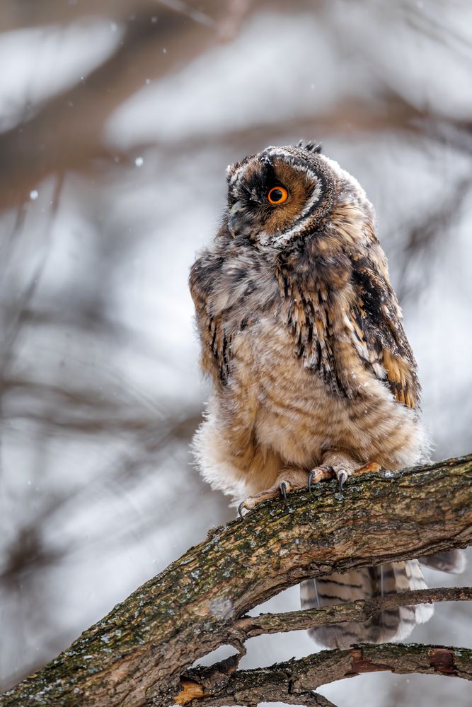 Photograph by Антон Науменко
