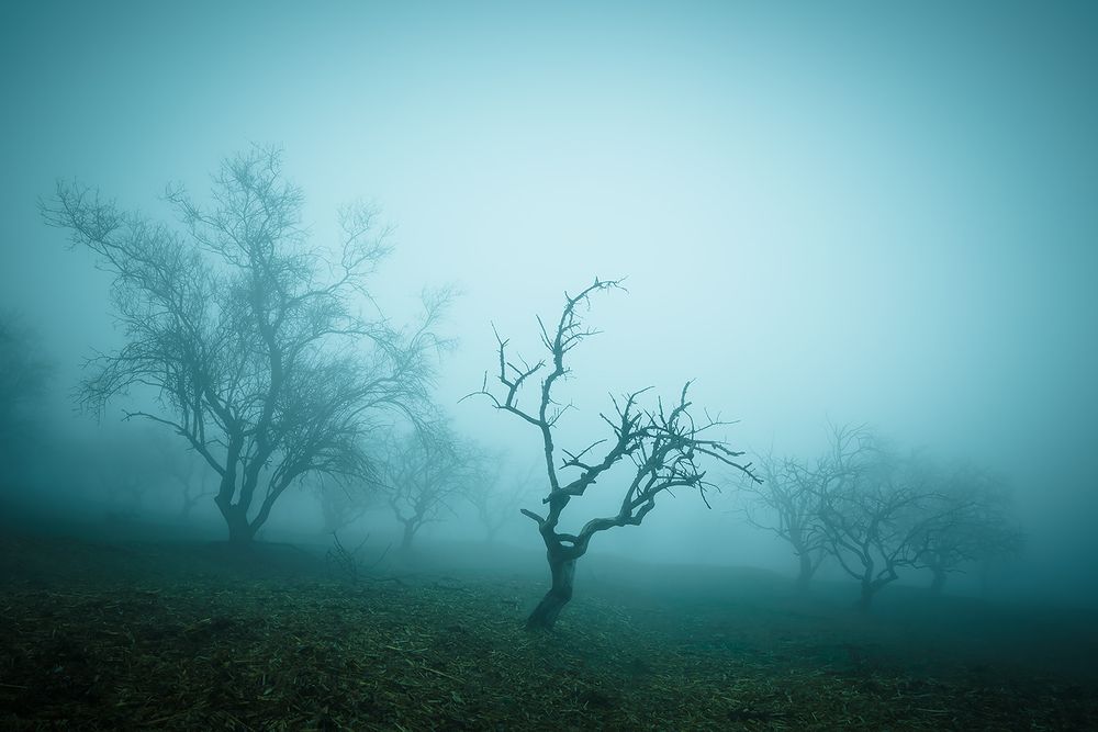 Photograph by Kostov Borislav