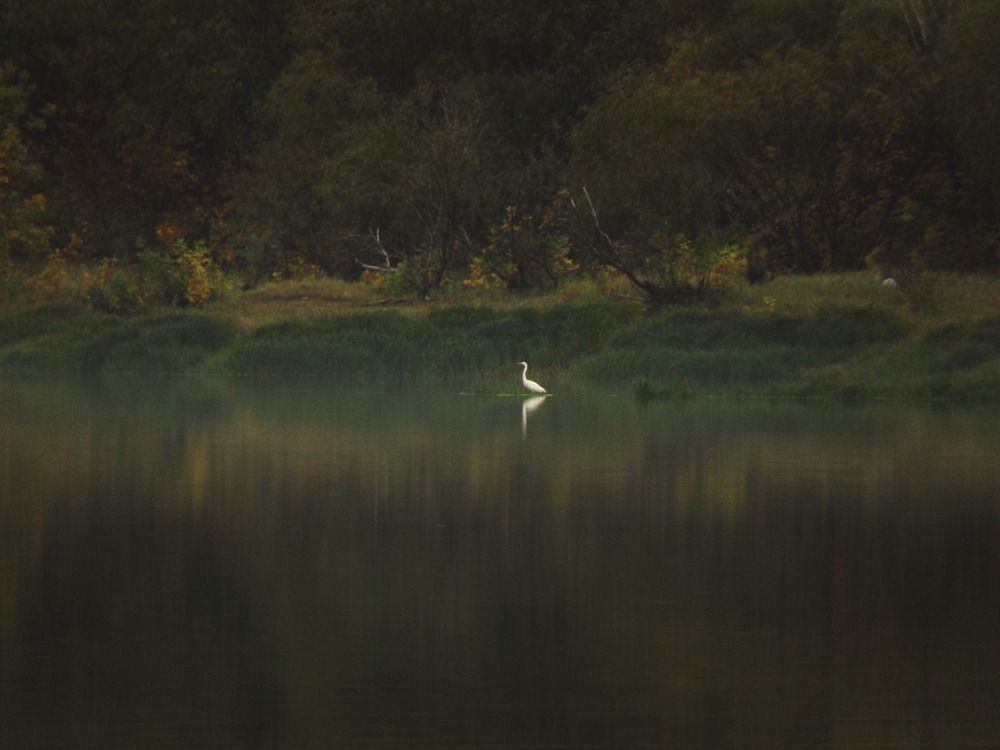 Фотография автора Янина Черпухина-Андреева