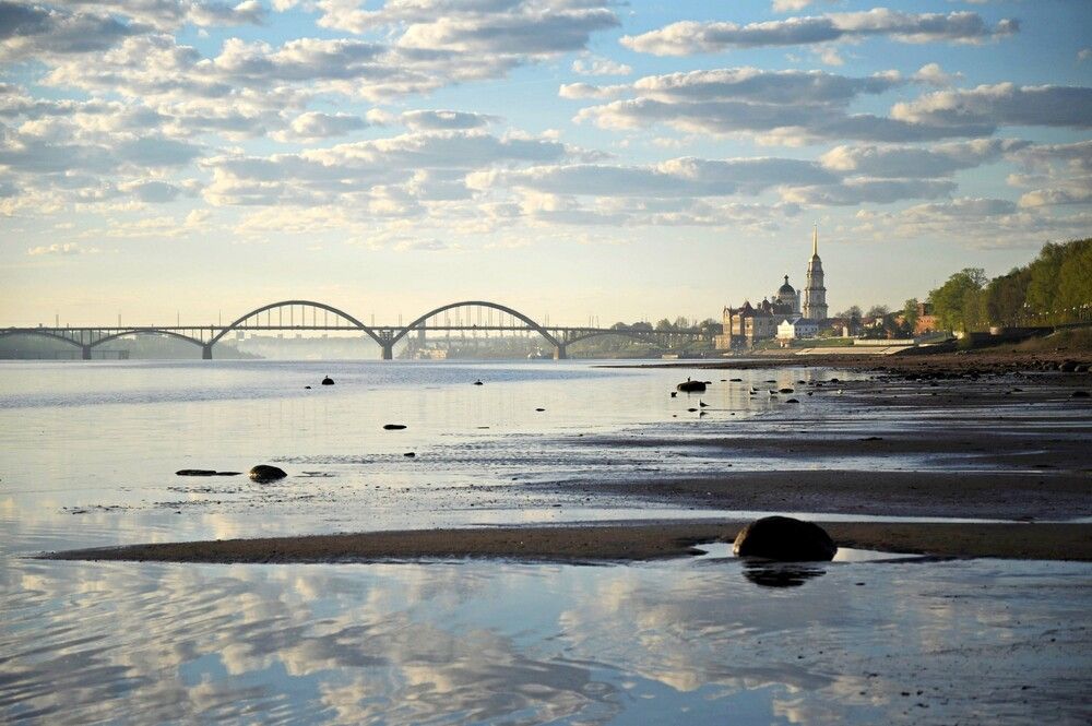 Фотография автора Васильева Дарья