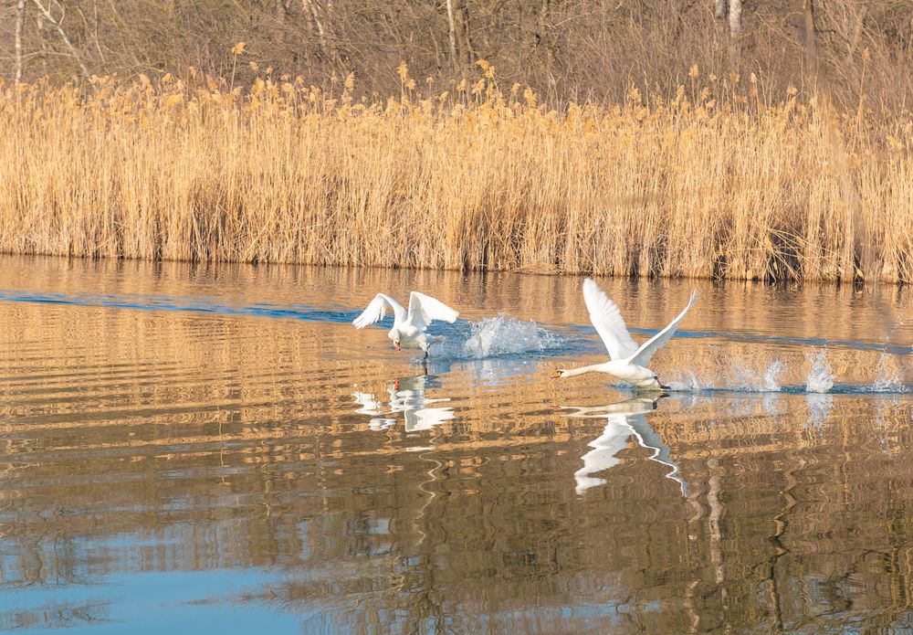 Photograph by Наталия Уракина