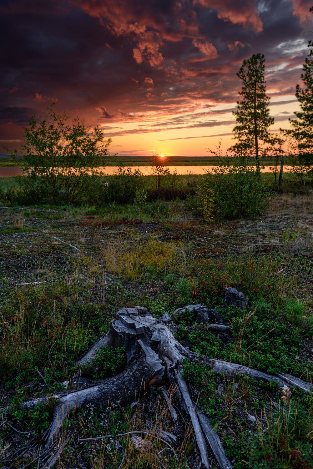 Всему свой срок