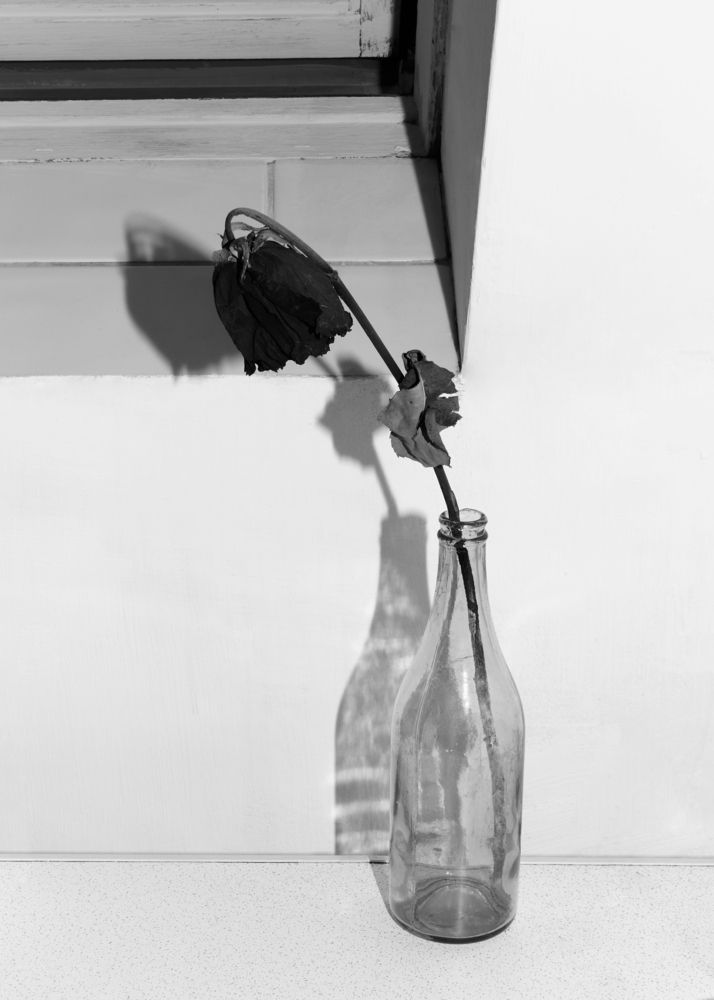 Photograph by Camilla Burkhanova