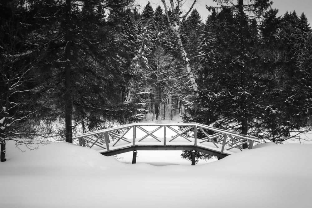 Photograph by Светлана Верзилина