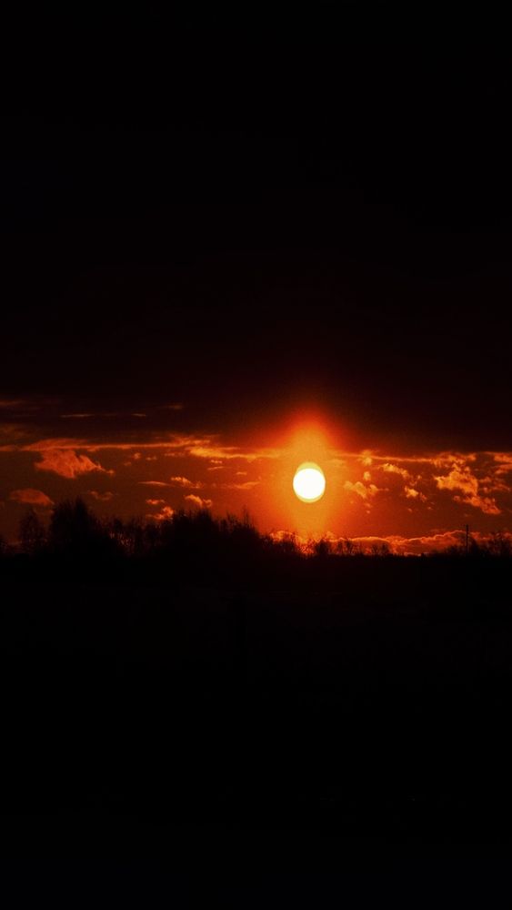 Photograph by Мария Смирнова