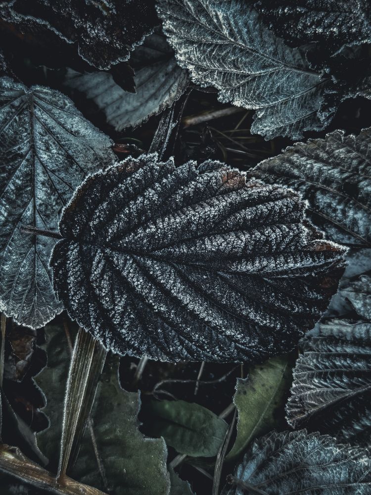 Photograph by Андрей Почтарёв