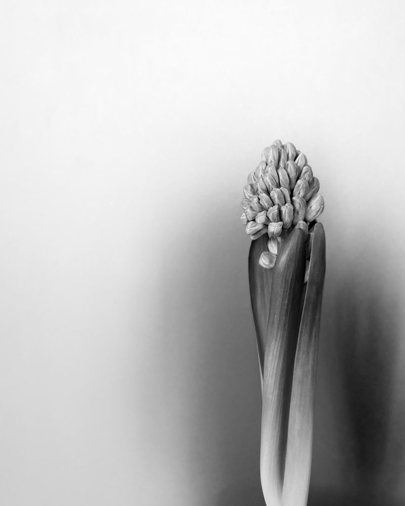 Photograph by Анна Березина