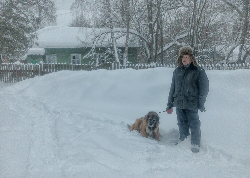 Снежный день