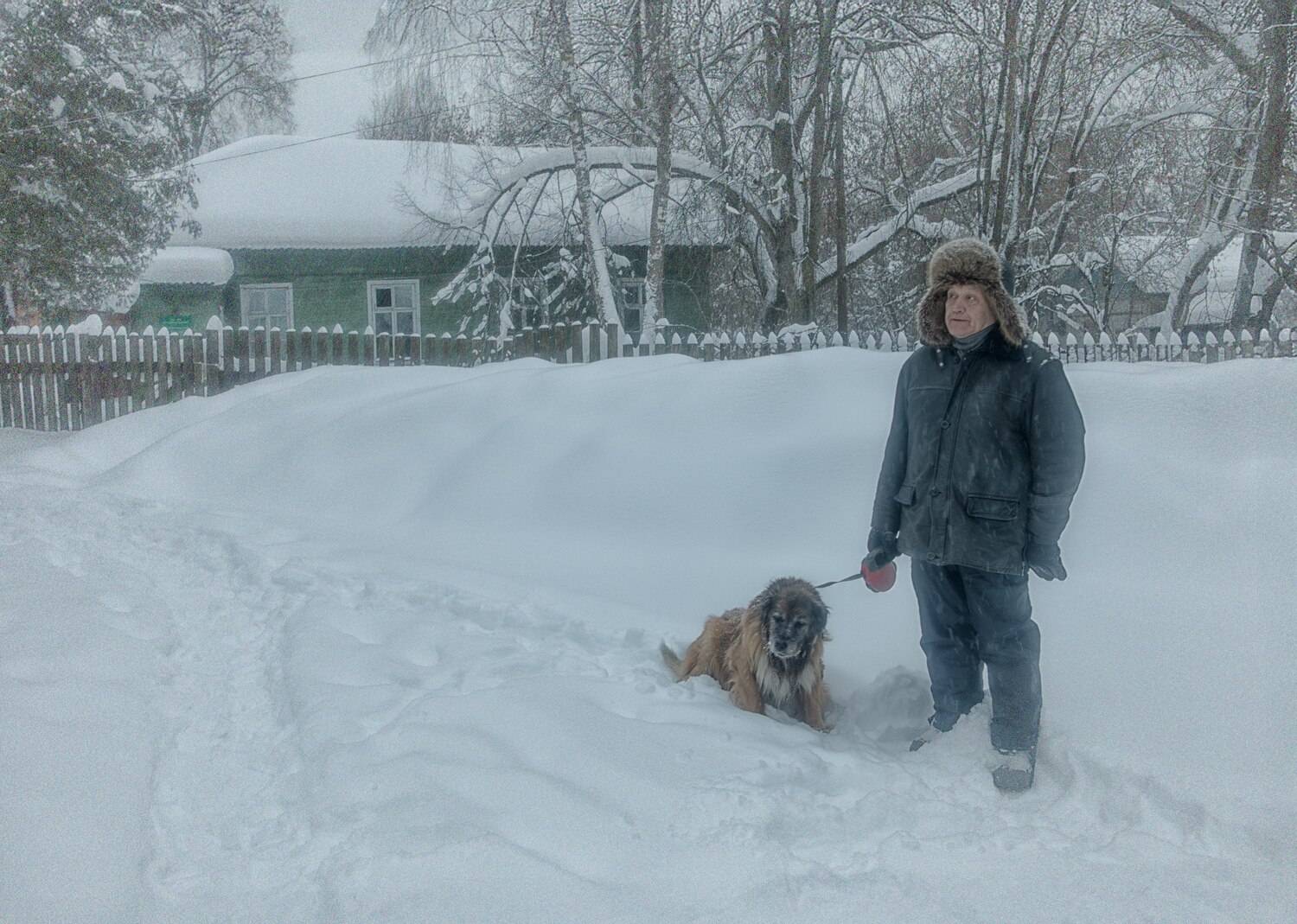 Снежный день Снежный день