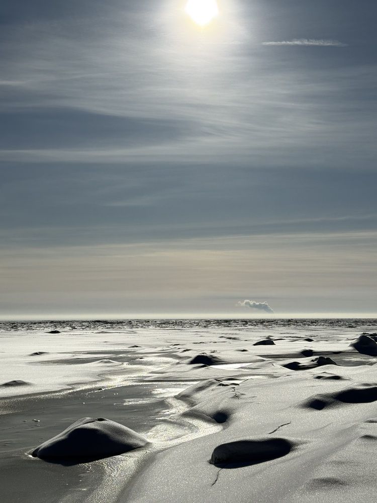 Photograph by Бондаренко Светлана