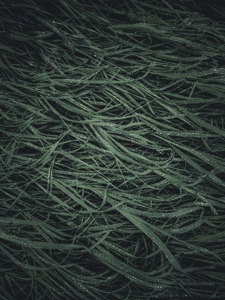 Photograph by Андрей Почтарёв