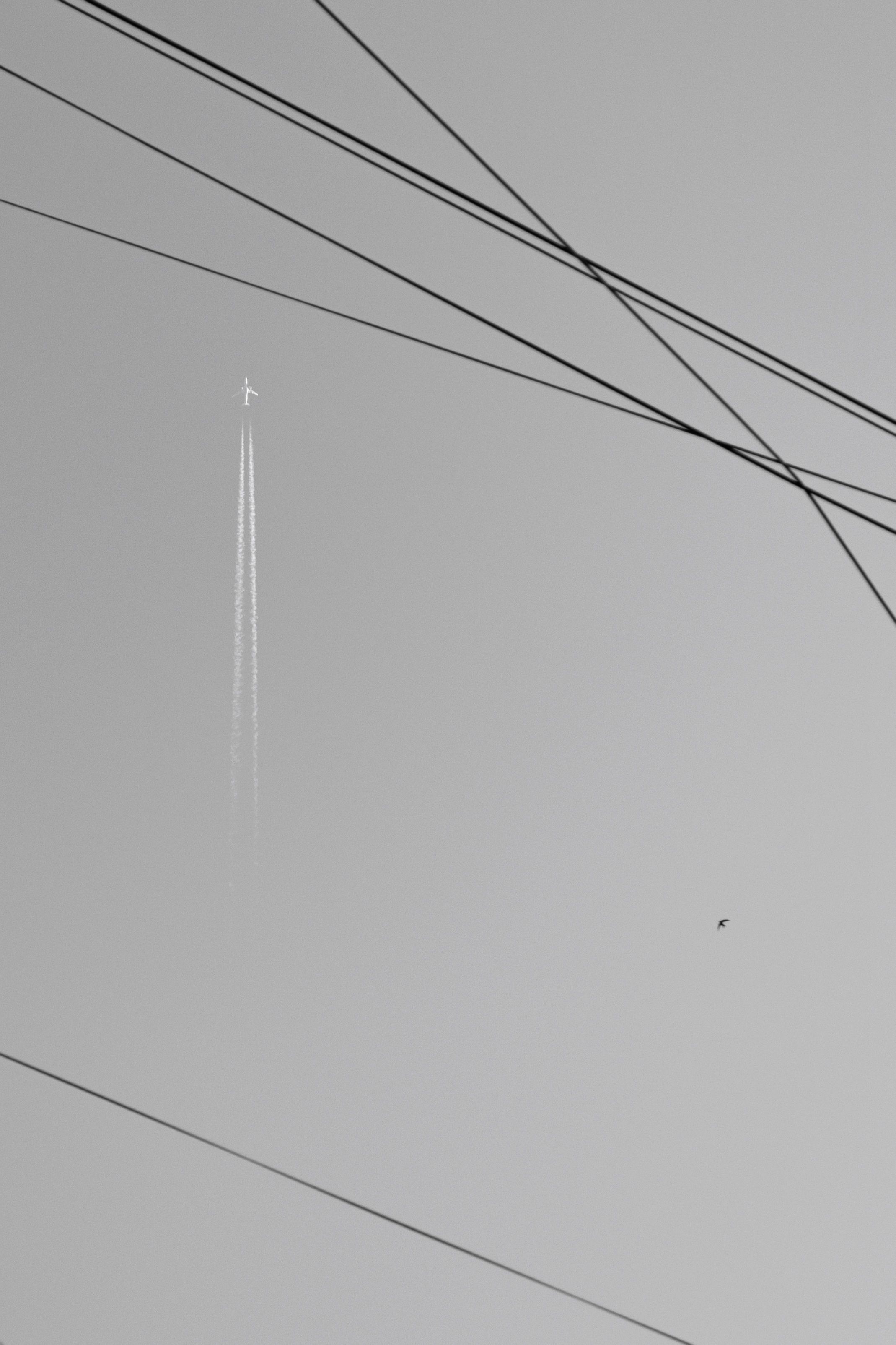 Photo #13359633