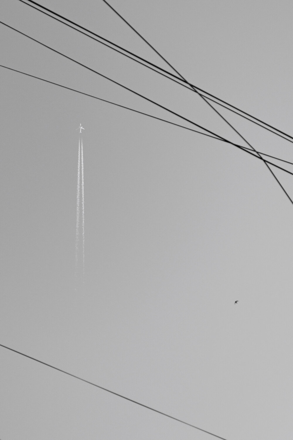 Photo #13359633