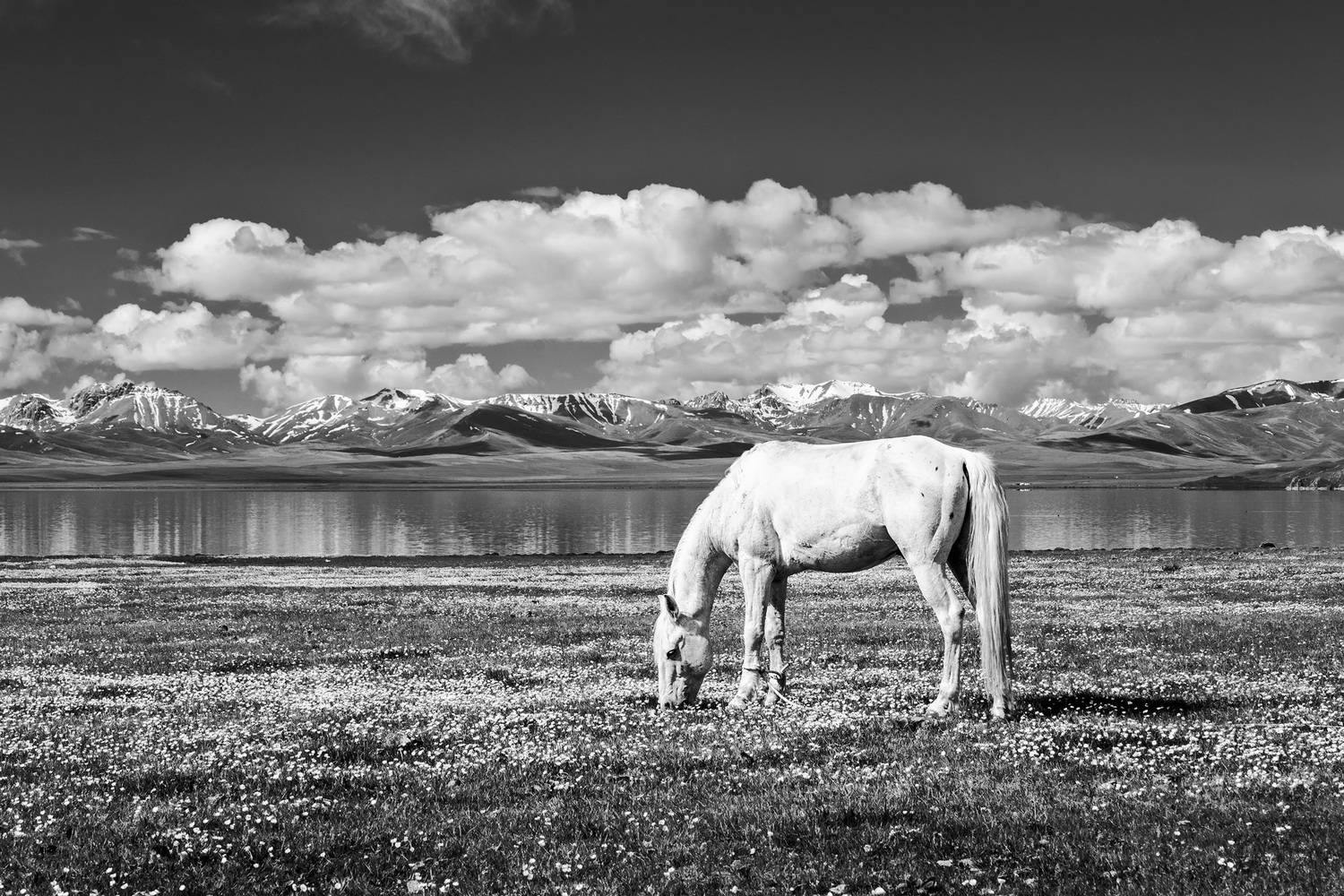 Фотография #13359679