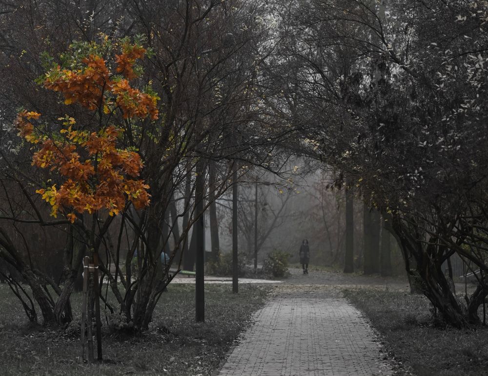 Photograph by Елена Пожидаева