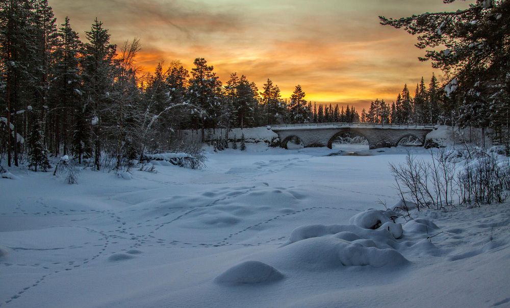Фотография автора Lapland