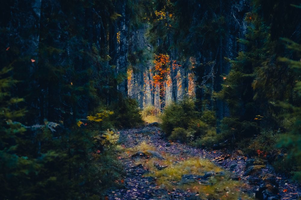 Photograph by Евгений Дубенцов