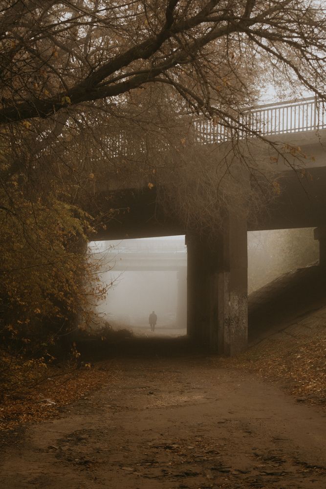 Photograph by Денис Нагайцев