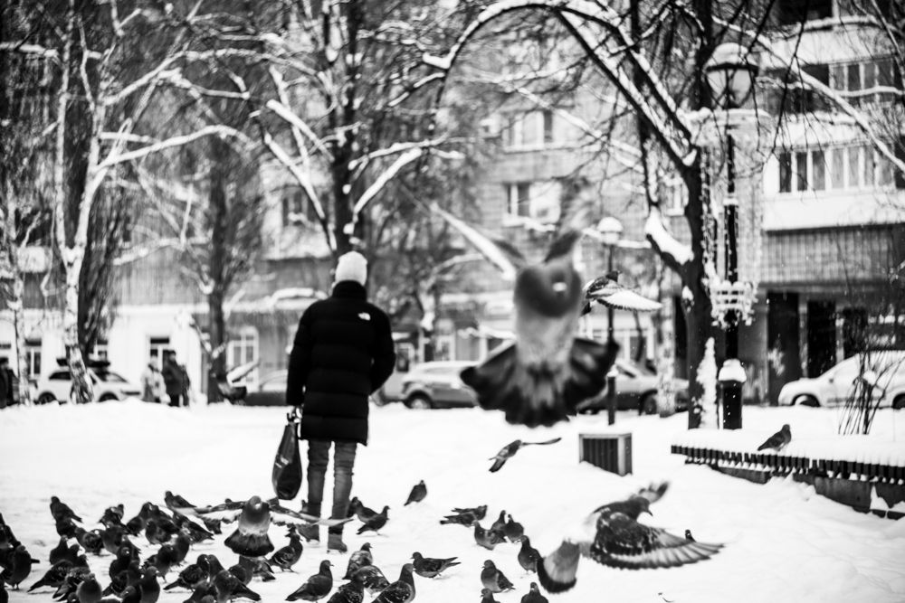 Фотография автора Дарина Фельдман