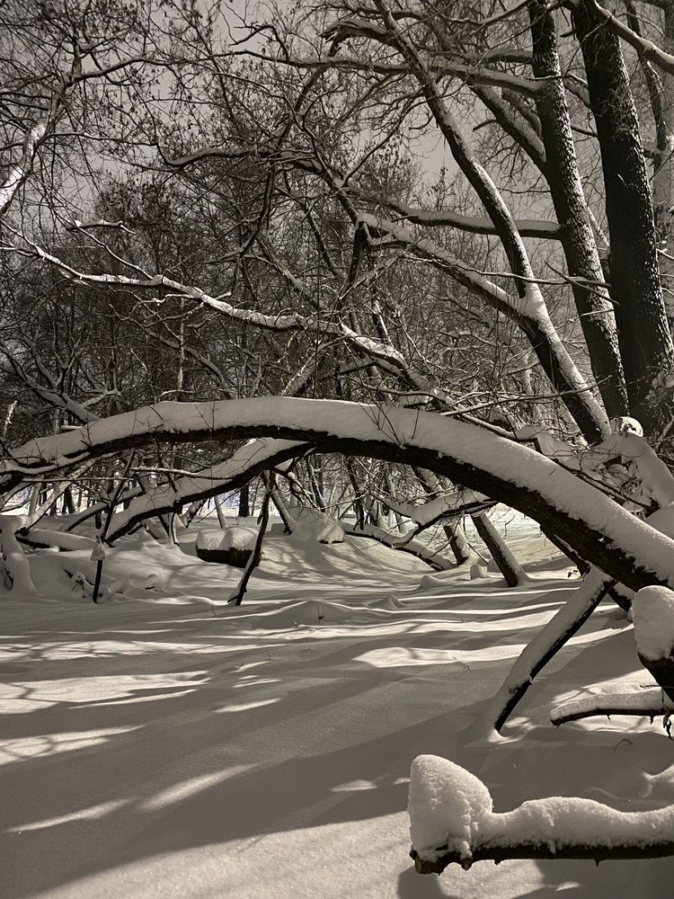 Photograph by Елена Пчельникова