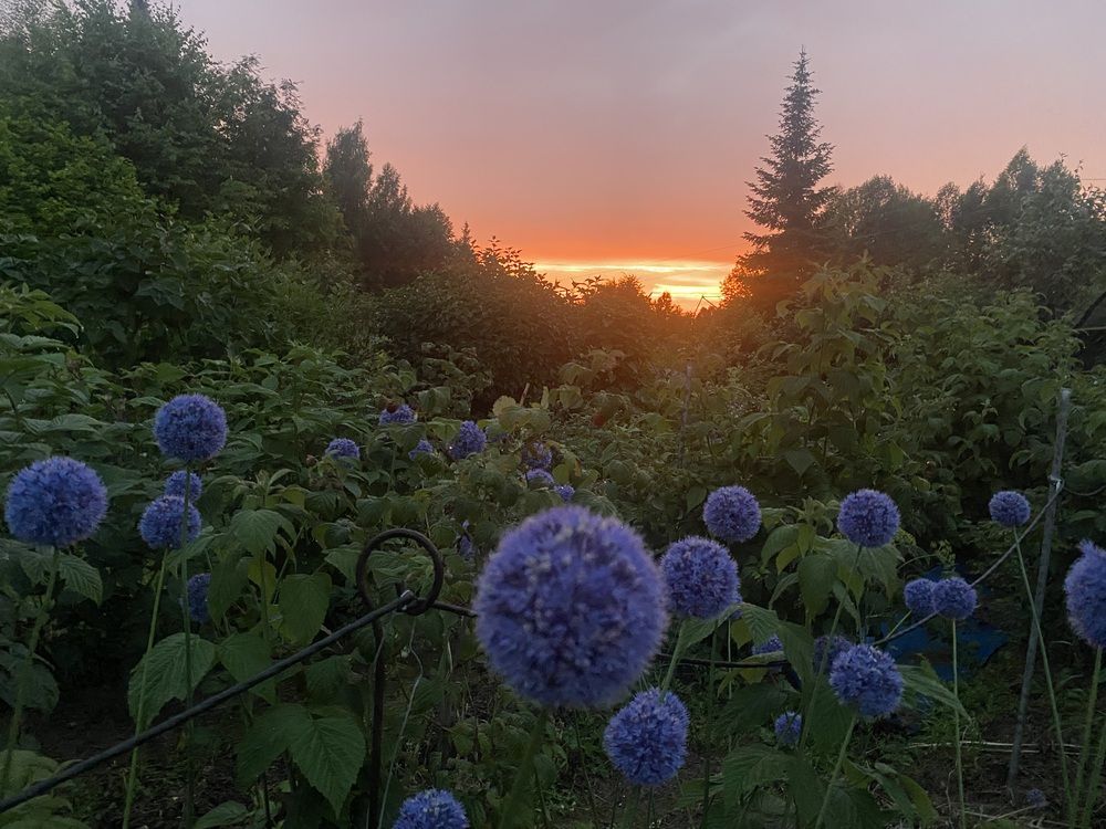 Photograph by Елена Пчельникова