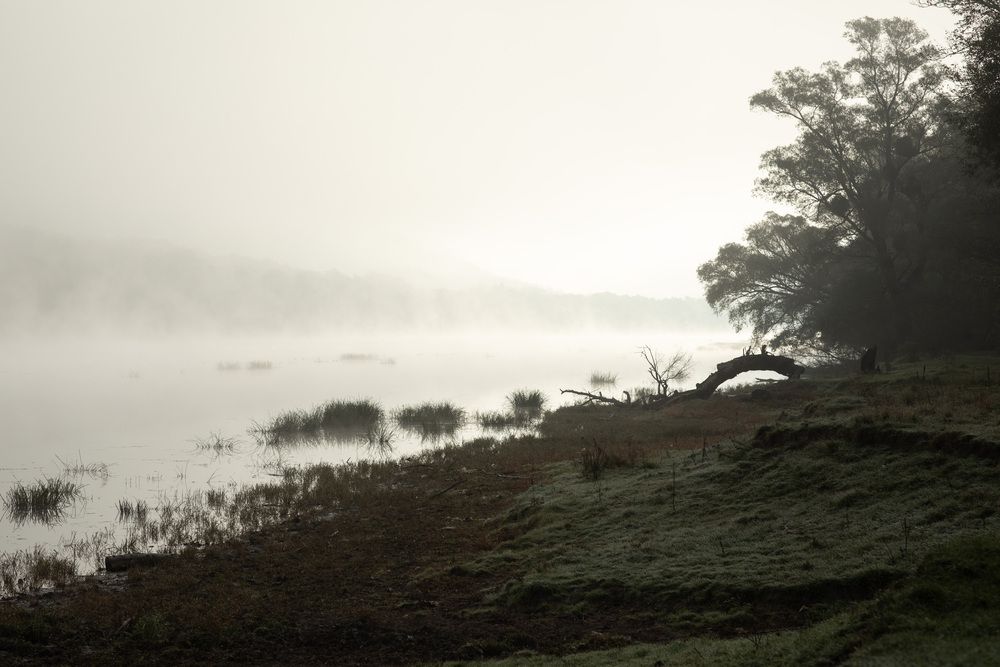 Photograph by Dorina Girlea