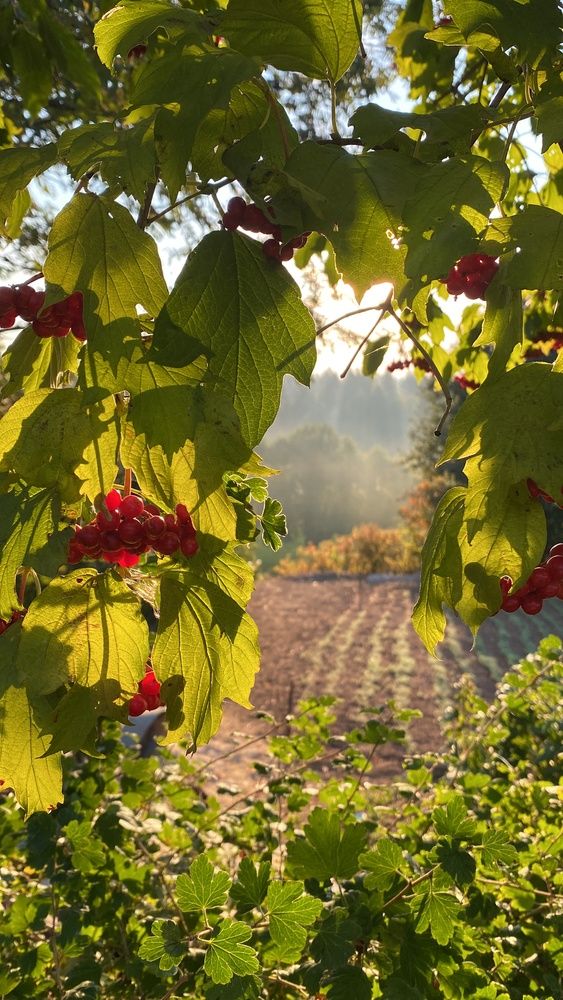 Photograph by Елена Пчельникова