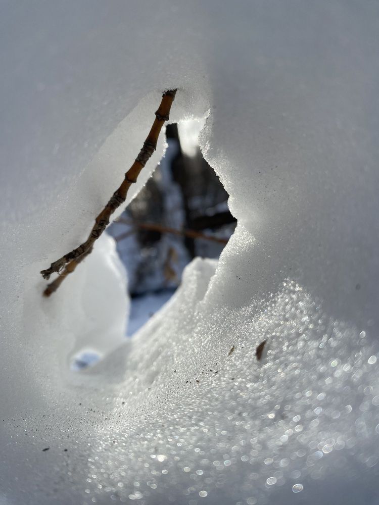 Photograph by Елена Пчельникова
