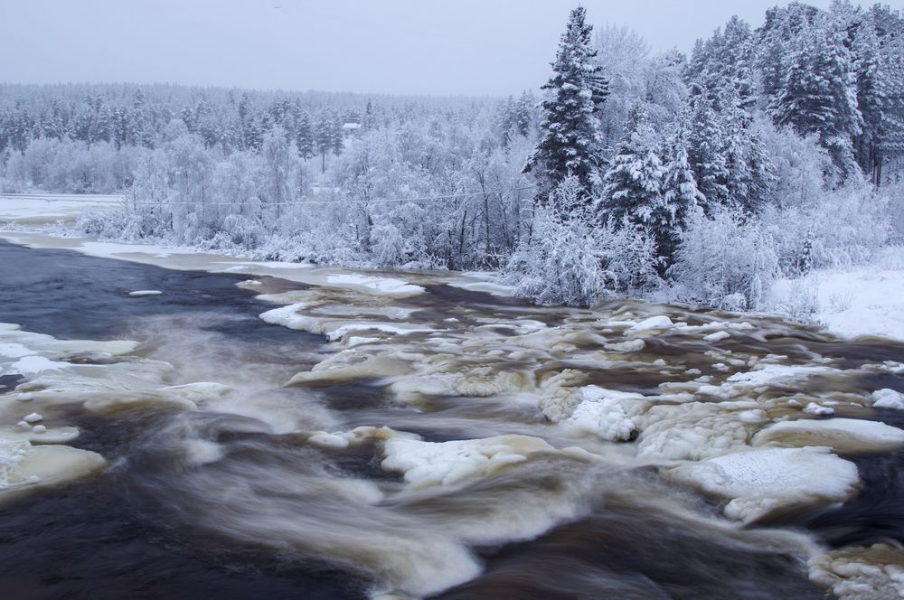 Фотография автора Lapland