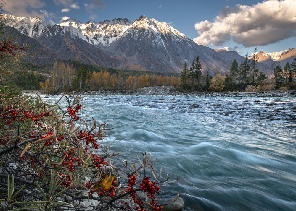 Photograph by Mark Devender