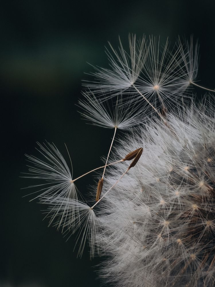 Photograph by Татьяна Котова
