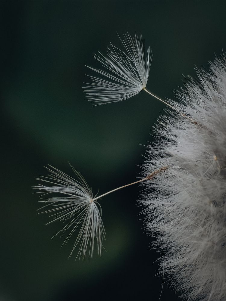 Photograph by Татьяна Котова