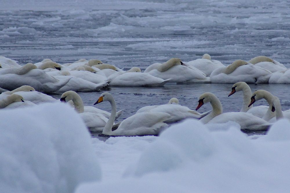 Photograph by Jevgeni Filimonov