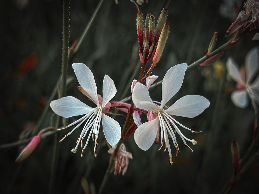 Photograph by Наталья Мубаракшина