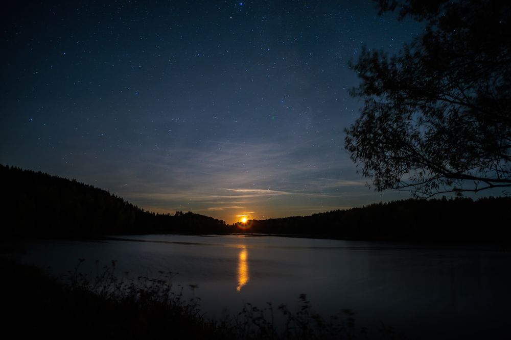 Photograph by Владимир Петухов