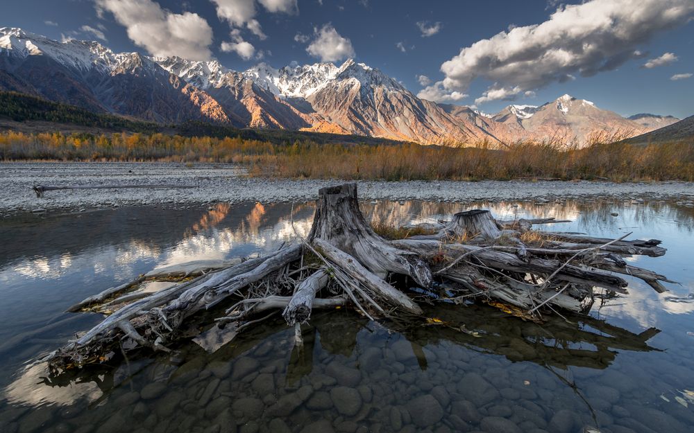 Photograph by Mark Devender