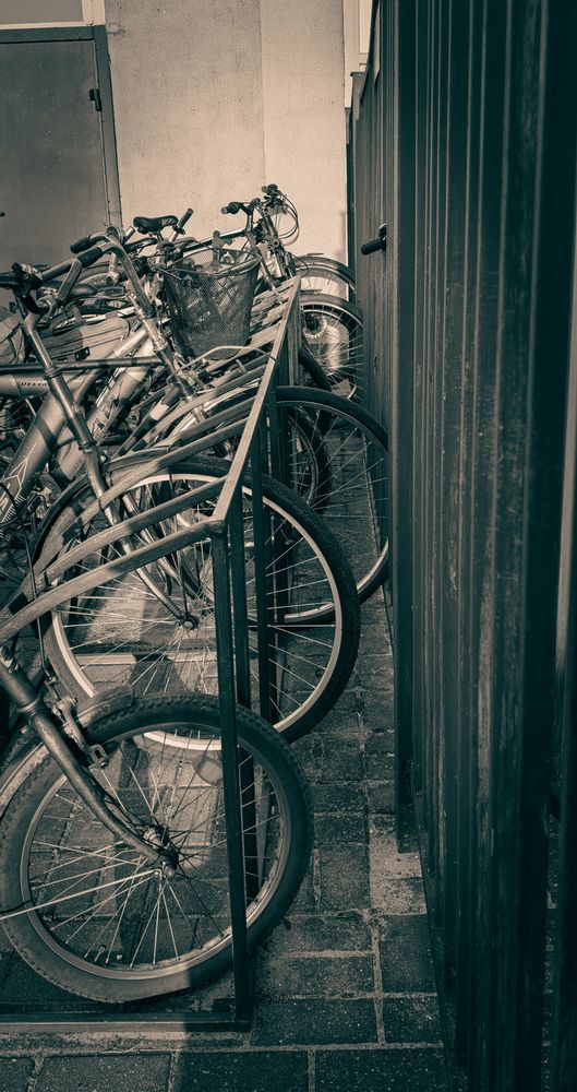 Photograph by Инна Невар
