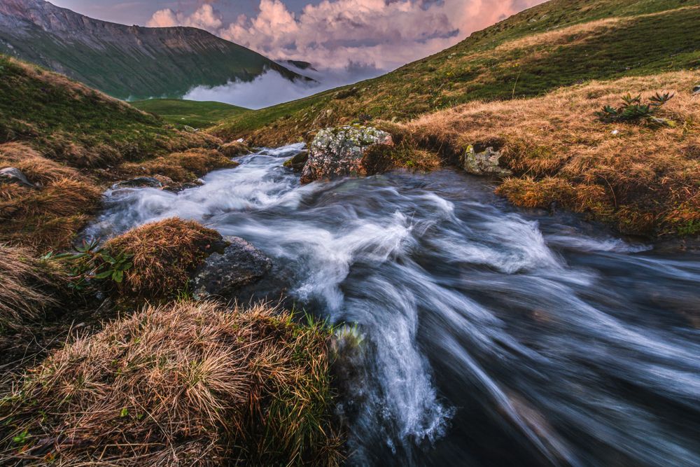 Photograph by Григорова Мария