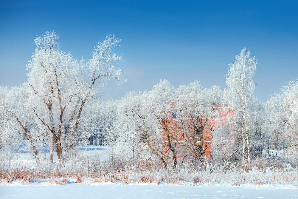 Photograph by Дмитрий