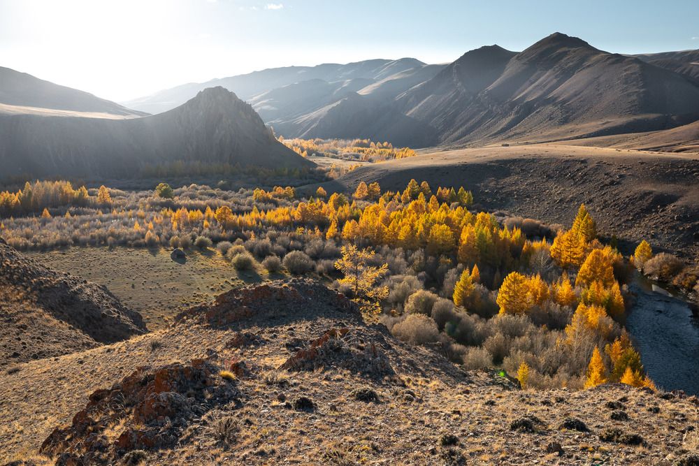 Photograph by Антон Денисенко
