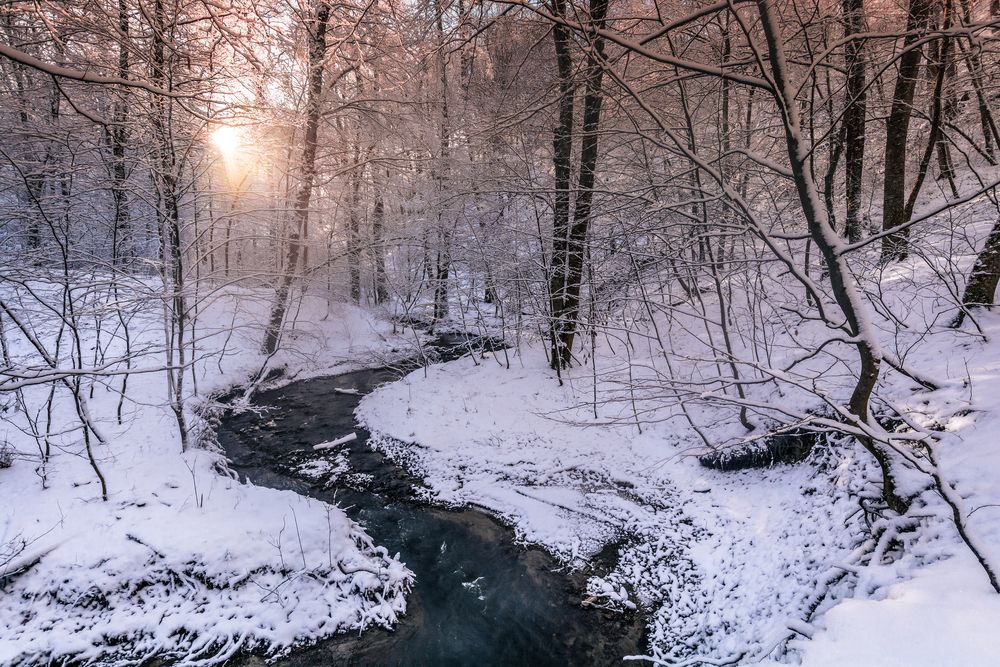 Photograph by Григорова Мария