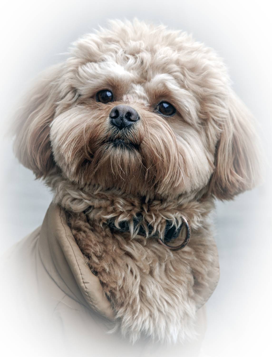 Фотография #13360421