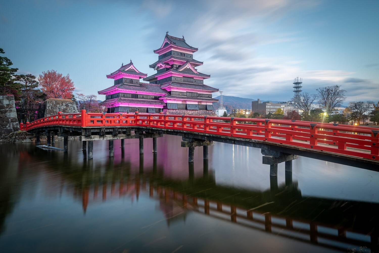 Фотография #13360450