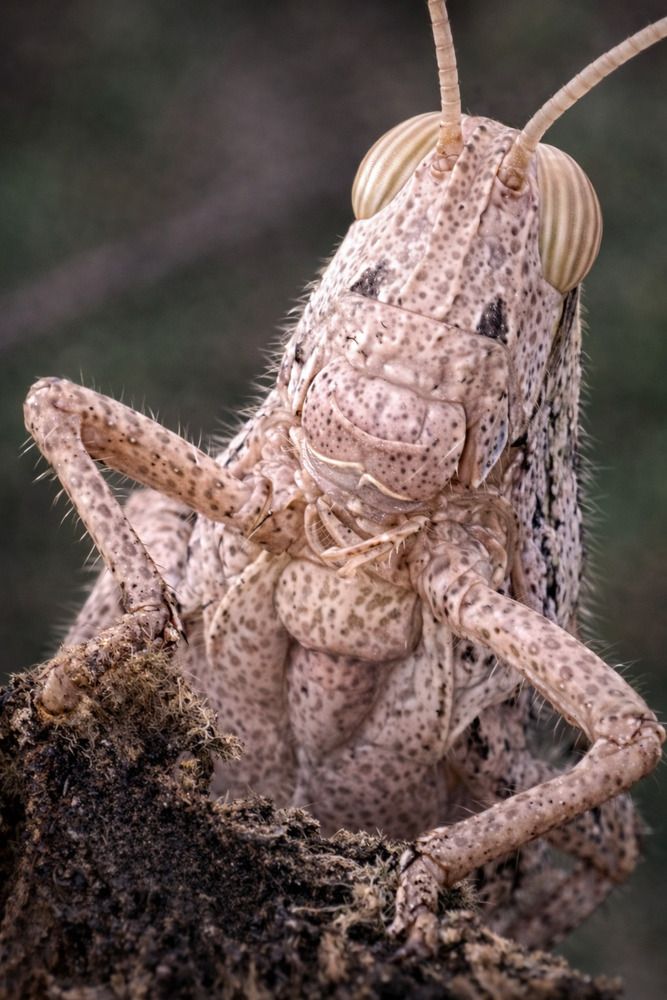 Photograph by Leon Mobi