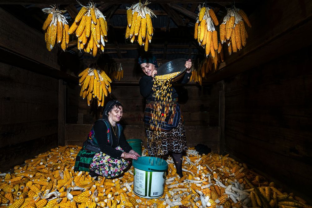 Фотография автора Fikriye Er