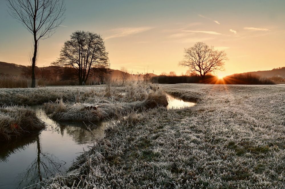 Фотография автора Wymann Elena