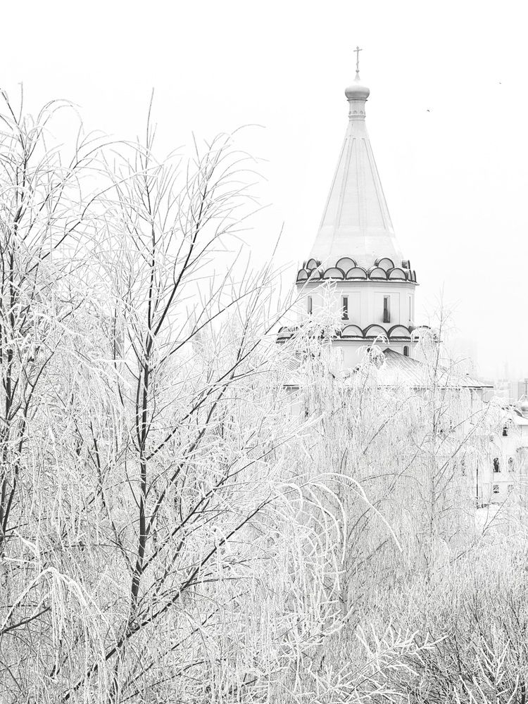 Photograph by Ольга Осинина