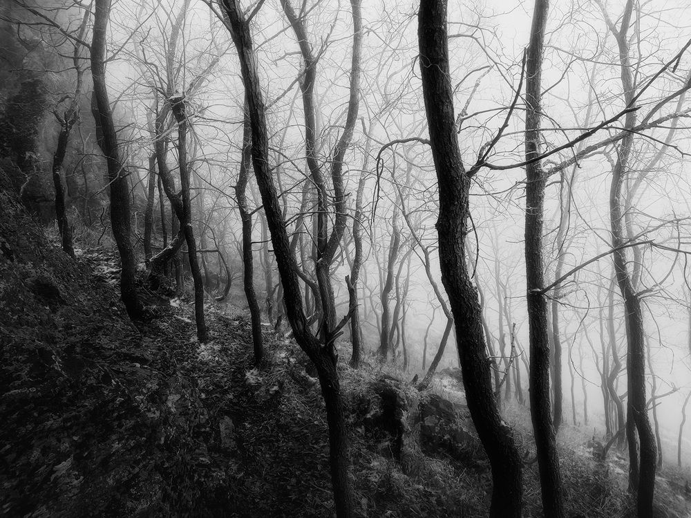 Фотография автора Farzad Ajori